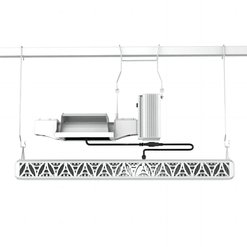 Do LED Grow Lights Need A Ballast - 600/1000W HLEDTLR Ballast Version