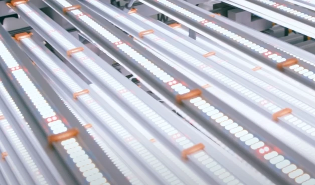 เหตุใดการทดสอบการเผาไหม้จึงมีความสำคัญต่อแสง LED พืชสวน